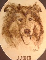 dog portrait