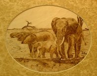 elephants