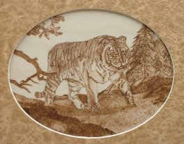 tiger walking