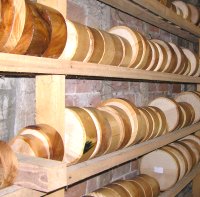 Ash bowl blanks