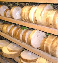 Sycamore discs rack